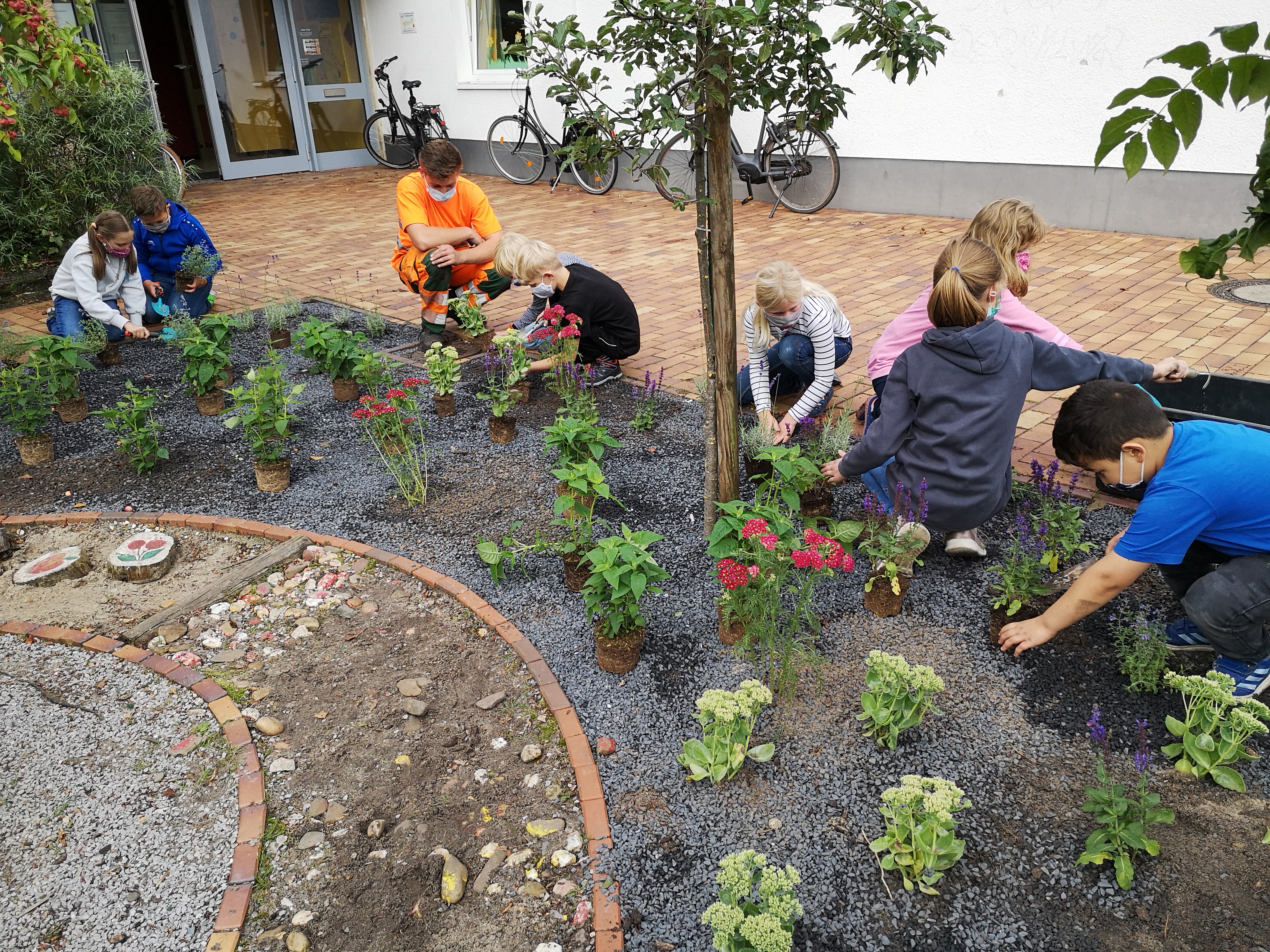 img 20200904 111251E159BEA7 4CF1 DDE7 0CA0 5D0C8F674E97